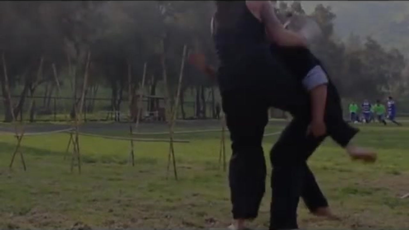MAPUCHE AUKANTUN